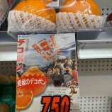 『愛媛の子供達も応援、愛媛のデコポンが入荷‼️』の画像