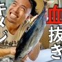 医療器具をつかってマグロを魔改造する動画がスゲェ！「大動脈に醤油を流し込んでマグロを漬ける」