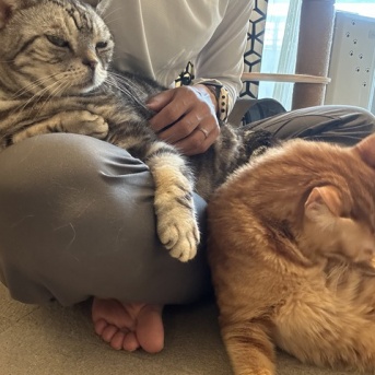 猫も人間も、そろそろ冬支度。今だけのゴールデンシーズン到来？ 