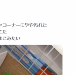 わんこーる速報！