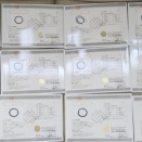 本日碧玉の鑑別書仕上がりました。