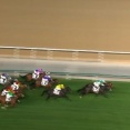 【競馬】ソウルラッシュは鞍上C.デムーロでマイルCSへ