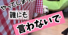 やってしまった女帝。