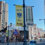 ファントムのスポーツ御意見番  ～栃木SCの軌跡～