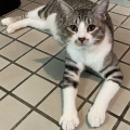 だいずくんが亡くなりました