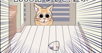 あんこ＆麦2508 まると、遊ぶ