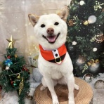 ペットショップワンラブ ゆめタウン光の森店のスタッフブログ