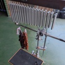 春一番が吹いたそうな…