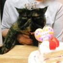 お嬢の誕生日会‼