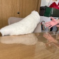 等身大のなぎくん完成
