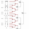 【春季大会2026】4/18　県大会2回戦8試合の結果