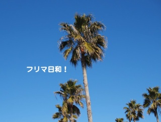 突然のフリマ出店！