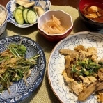 おかんの毎日と食事と猫