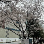 バンダナ刑事の柔術24時