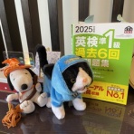 松山市の英会話教室ブログ【英検1級・TOEIC990点】英語・英会話スクール