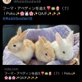 フーマ・アベディンを追え（７）