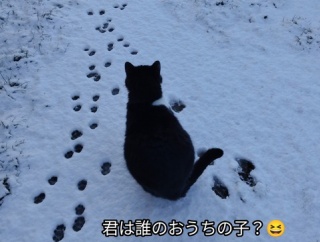 農民の怒り、凱旋門エッフェル塔前にトラクターで集結