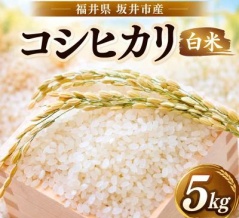 【2,180円】福井県坂井市産 コシヒカリ 白米 令和8年産 5kgがセール特価
