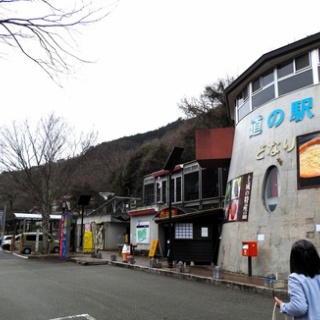 土佐料理　旬の鰹がゆく！