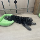 この姿はやはり激カワ😍