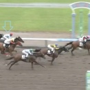  NOC ﾍﾞﾙｲｽﾄﾜｰﾙ 4着 vs SHC ﾚｰｳﾞﾄﾞﾚﾌｫﾝ 11着 他