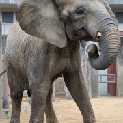 激怒プンプン丸な姉妹