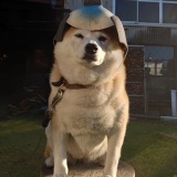 ǯ��ǯ�ϤΤ��Τ餻