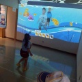 6月第2回ビーバー隊集会「ぎょ🐡ぎょ🐠ぎょ🐟」