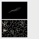 Weekly Top10 2025.11.17～11.23