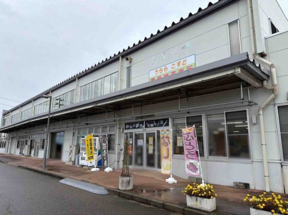 地元野菜が詰め放題！餅つきふるまいも！秋葉区小須戸『うららこすど 農産物直売所』で『産地大感謝祭』開催！10月24日。