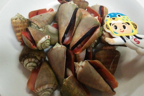 究極の美味 チャンバラ貝 マガキガイ を食べる Byスターダイブ 日本さかな検定 ととけん流 スターダイブのブログ