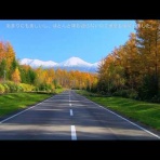 SOUL CAGER A.KURIHARA　 ４５才からの  　　　　トライアウト