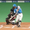 日ハム今川とかいう最強のファンクラブ会員ｗｗｗｗｗｗｗｗ