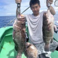 イワシの泳がせ　マハタ