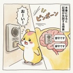 はむ子の挑戦｜税理士を目指したデコボコ成長記
