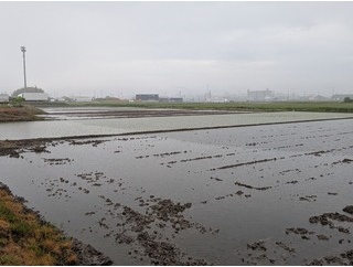 ４／２２　寺報５月号（第３８９号）を配った（充）