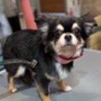 お客様のご紹介