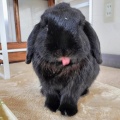 良し！