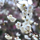 『会社創立50周年を迎えました！』の画像