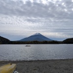 都心から郊外へ１２年目