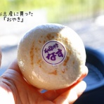 たかシェフのおうちごはん。と、白い犬。と、チワワ。