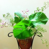 『光マイクロバブルの「ZERO to ONE」（6000回記念）（4）』の画像