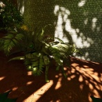 遅咲き店長のゲームプレイ日記