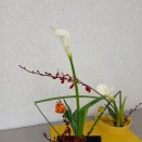 ３月の生け花です