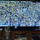 ホームグランド勝利