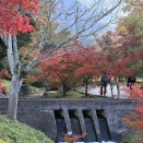 香川用水記念公園