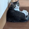 そら君