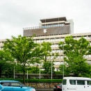 高槻市が幼児二人同乗用自転車等の購入費用を補助するみたい。2人以上の未就学児を養育する家庭が対象