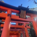 THE SHRINE IS FAMOUS FOR ITS THOUSANDS OF TORII GATES.