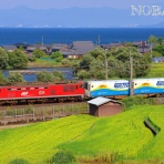 旅々列車たび Blog